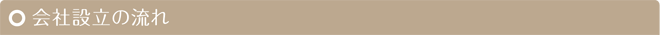 会社設立の流れ